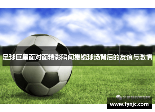 足球巨星面对面精彩瞬间集锦球场背后的友谊与激情