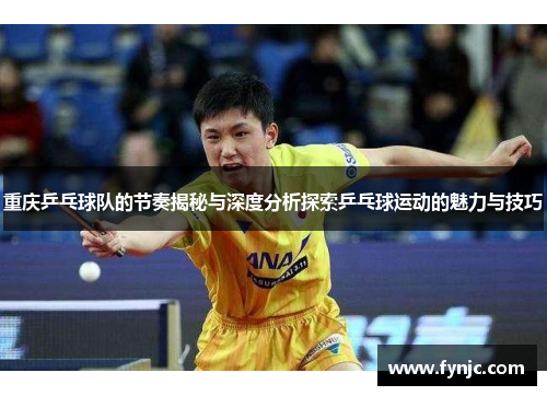 重庆乒乓球队的节奏揭秘与深度分析探索乒乓球运动的魅力与技巧
