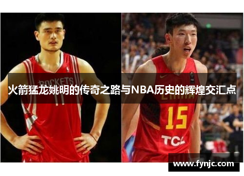 火箭猛龙姚明的传奇之路与NBA历史的辉煌交汇点
